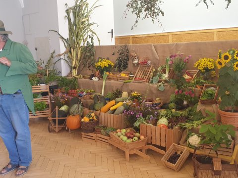 Výstava výpěstků ovoce a zeleniny v DDM Libertin