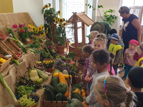 Výstava výpěstků ovoce a zeleniny v DDM Libertin