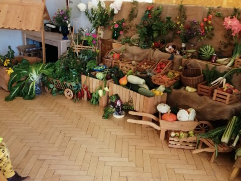 Výstava výpěstků ovoce a zeleniny v DDM Libertin 13.09.2022