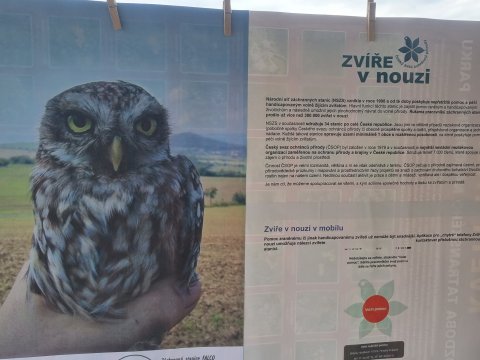 Den zvířat, Muzeum Česká Lípa 06.10.2022