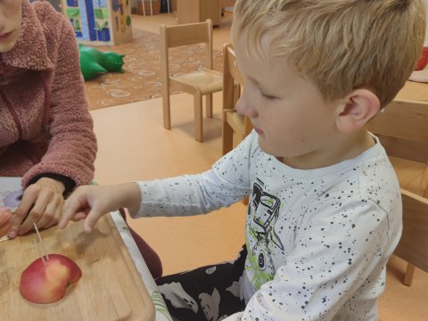 Projektový den Víla Amálka a Ježci