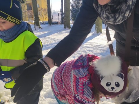 Pomáháme ptáčkům a ostatním zvířátkům v zimě