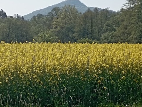 Hastrmanova stezka - Brniště 7.A, 9.B