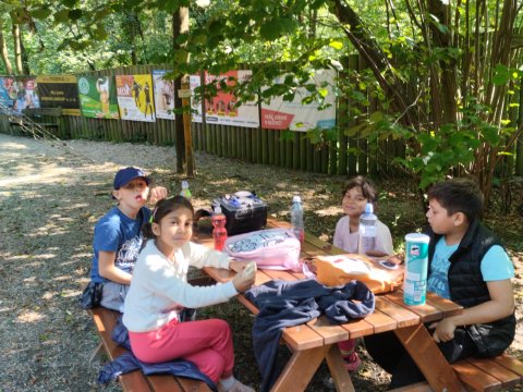 ZOO Děčín - Domácí zvířata v ZOO