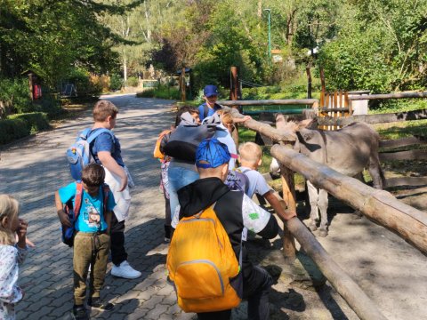 ZOO Děčín - Domácí zvířata v ZOO