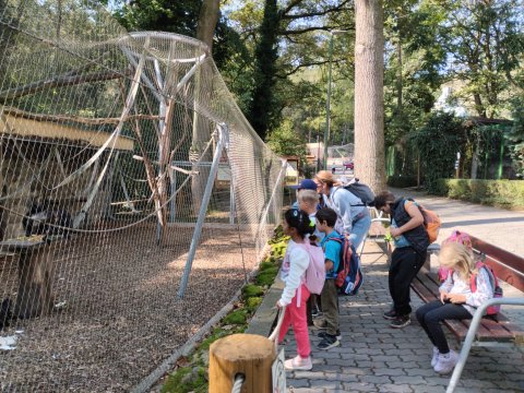 ZOO Děčín - Domácí zvířata v ZOO