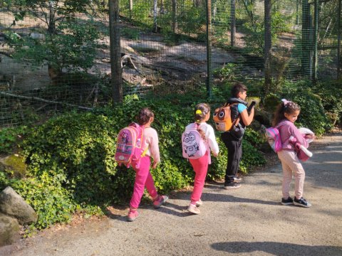 ZOO Děčín - Domácí zvířata v ZOO