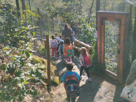 ZOO Děčín - Domácí zvířata v ZOO