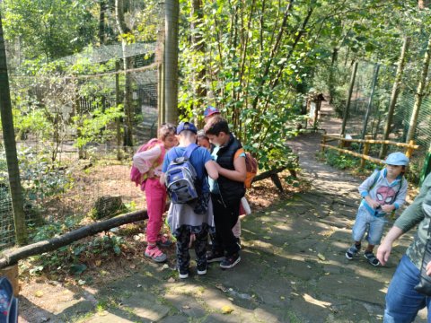 ZOO Děčín - Domácí zvířata v ZOO