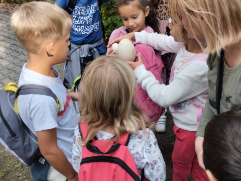 ZOO Děčín - Domácí zvířata v ZOO