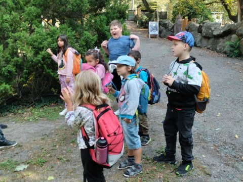 ZOO Děčín - Domácí zvířata v ZOO