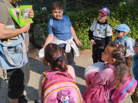 ZOO Děčín - Domácí zvířata v ZOO