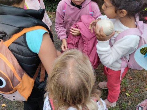 ZOO Děčín - Domácí zvířata v ZOO