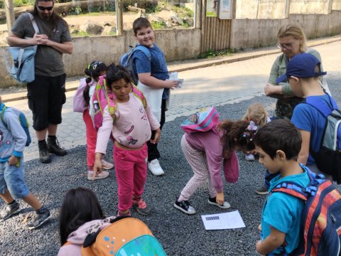 ZOO Děčín - Domácí zvířata v ZOO