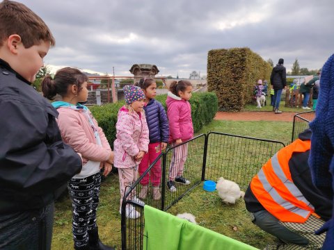 VLASTIVĚDNÉ MUZEUM-OSLAVY DNE ZVÍŘAT 2024