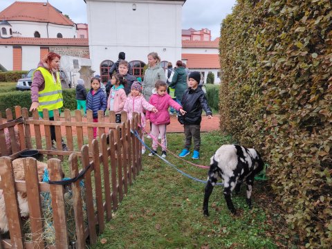 VLASTIVĚDNÉ MUZEUM-OSLAVY DNE ZVÍŘAT 2024