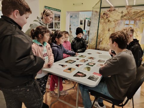 VLASTIVĚDNÉ MUZEUM-OSLAVY DNE ZVÍŘAT 2024