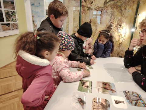 VLASTIVĚDNÉ MUZEUM-OSLAVY DNE ZVÍŘAT 2024