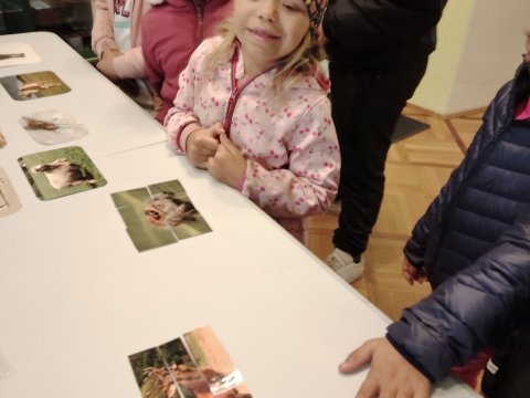 VLASTIVĚDNÉ MUZEUM-OSLAVY DNE ZVÍŘAT 2024