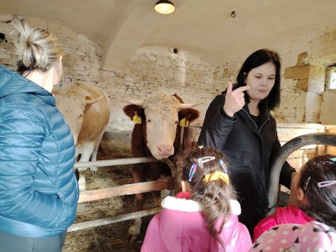 Ekocentrum Brniště Hospodářská zvířata