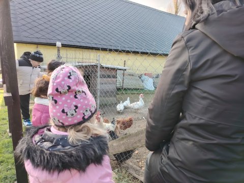 Ekocentrum Brniště Hospodářská zvířata