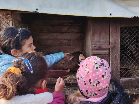 Ekocentrum Brniště Hospodářská zvířata