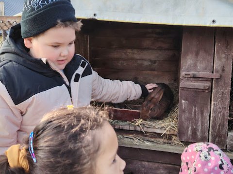 Ekocentrum Brniště Hospodářská zvířata