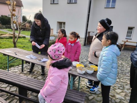 Ekocentrum Brniště Hospodářská zvířata