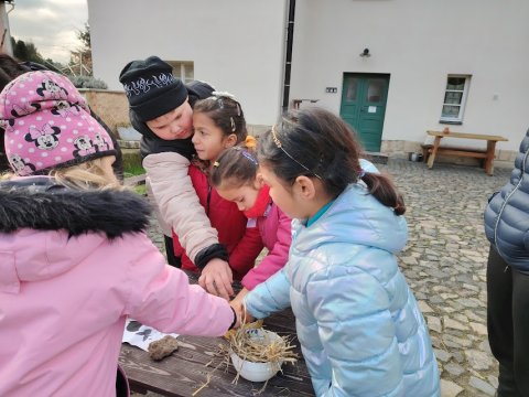 Ekocentrum Brniště Hospodářská zvířata