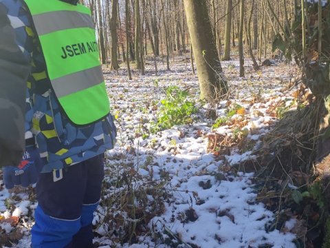 Uspávání zvířátek, zásoby pro zvířátka-les