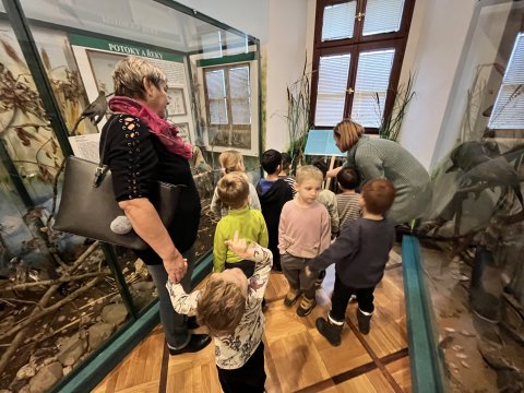 Muzeum Jak rostliny léčí 27.11.2024