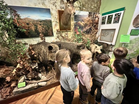 Muzeum Jak rostliny léčí 27.11.2024