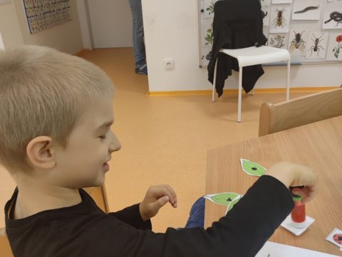 Povolání