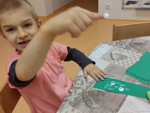 Povolání