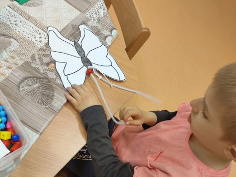 Povolání