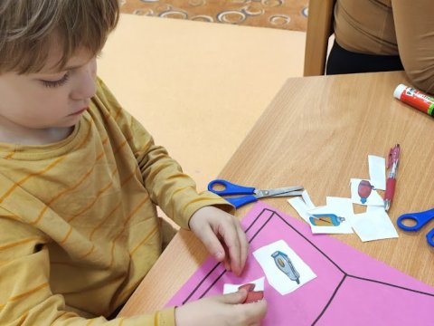 Povolání