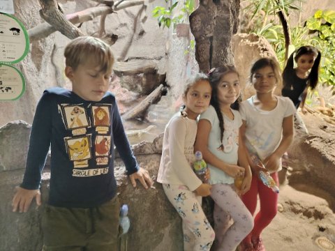 ZOO Děčín - Průvodce v Rajských ostrovech
