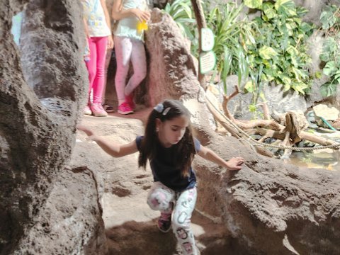 ZOO Děčín - Průvodce v Rajských ostrovech