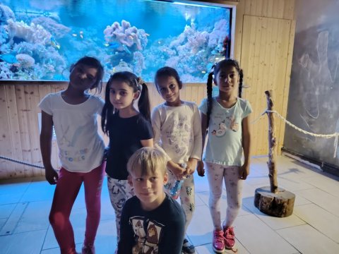 ZOO Děčín - Průvodce v Rajských ostrovech