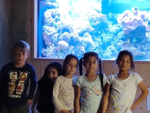 ZOO Děčín - Průvodce v Rajských ostrovech