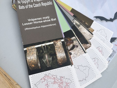 Oslavy dne zvířat, Muzeum Česká Lípa 07.10.2025