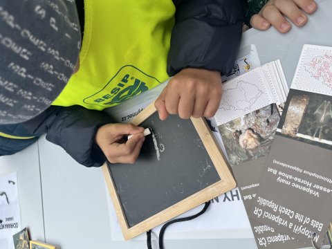 Oslavy dne zvířat, Muzeum Česká Lípa 07.10.2025
