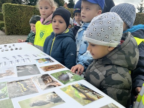 Oslavy dne zvířat, Muzeum Česká Lípa 07.10.2025