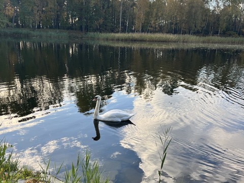 Projektový den Žiznikov