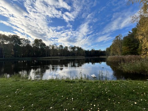 Projektový den Žiznikov