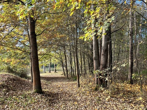 Projektový den Žiznikov