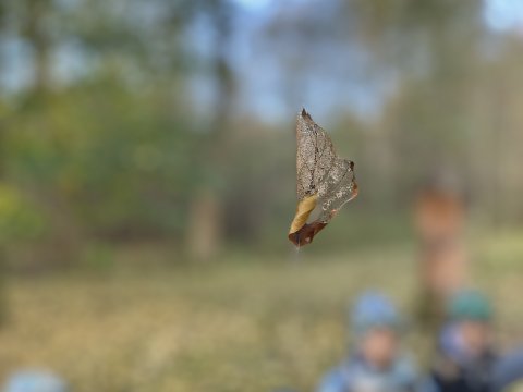 Projektový den Žiznikov