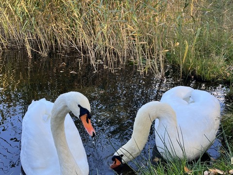 Projektový den Žiznikov