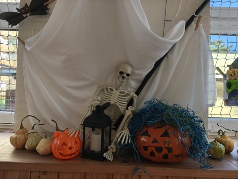 Výstražná stávka 27.11.2023