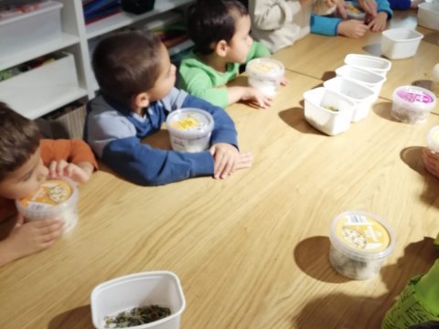 Výroba v soli v muzeu 06.11.2025